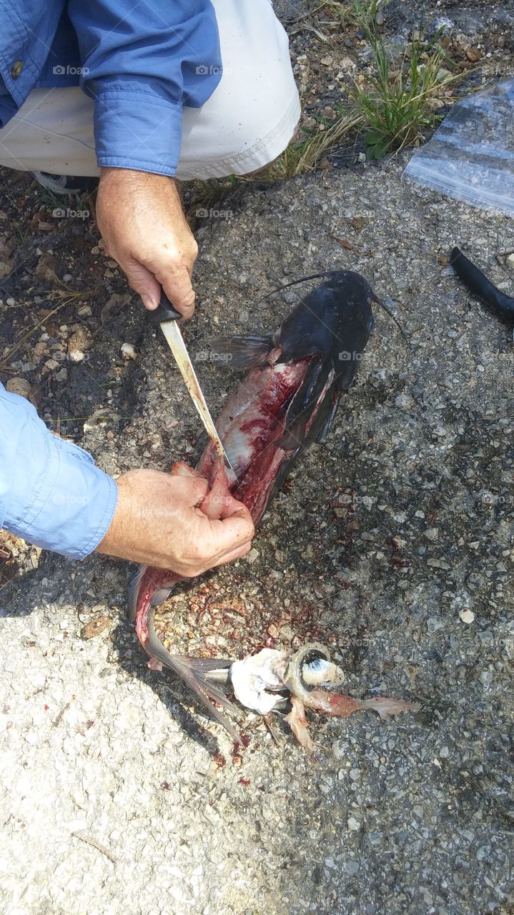 Skinning a catfish Tennessee style
