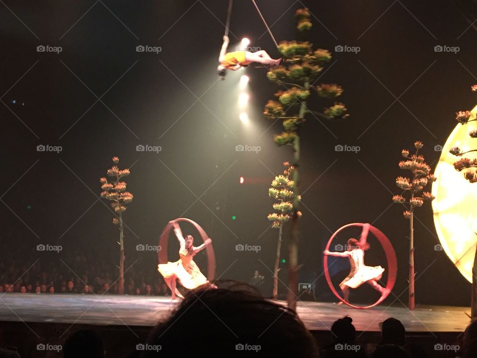 Cirque 2016