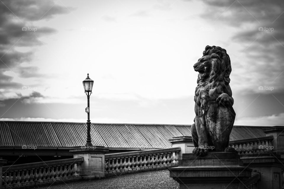 Sculpture of a lion in Antwerp
