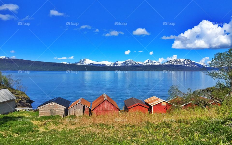 Lena Hope. Northnorway 
