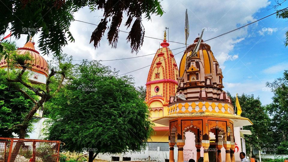 भारत के परिदृश्य