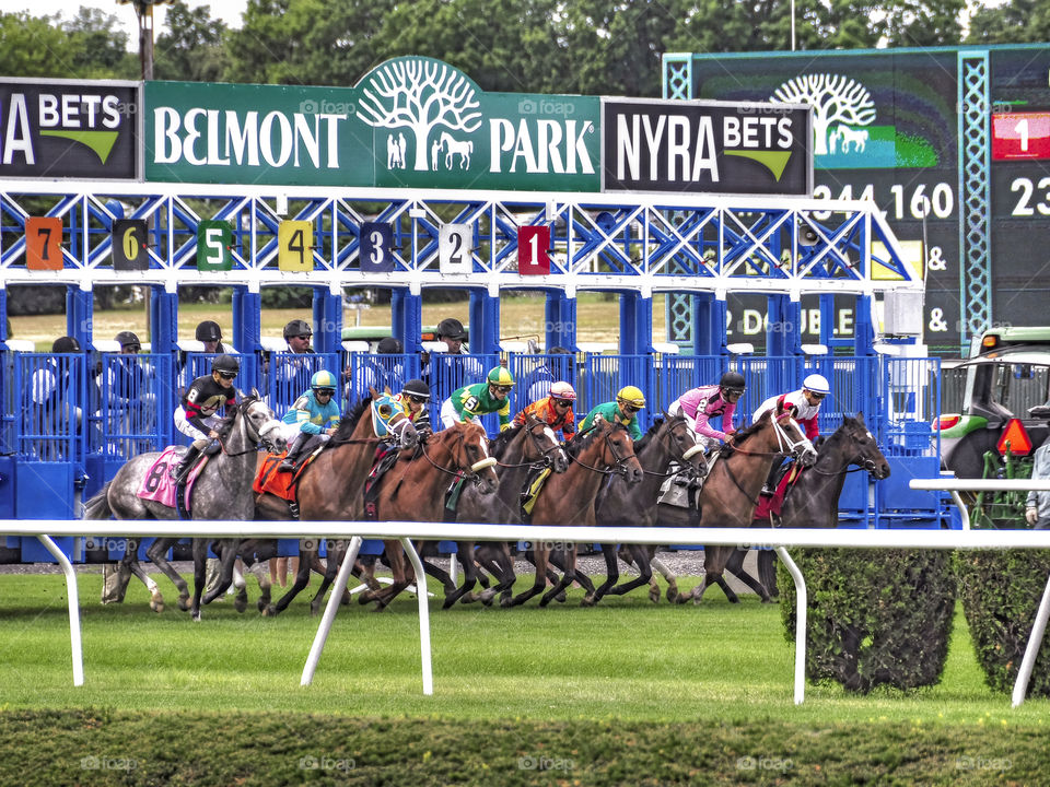 Racing from Belmont Park by zazzle .com/Fleetphoto