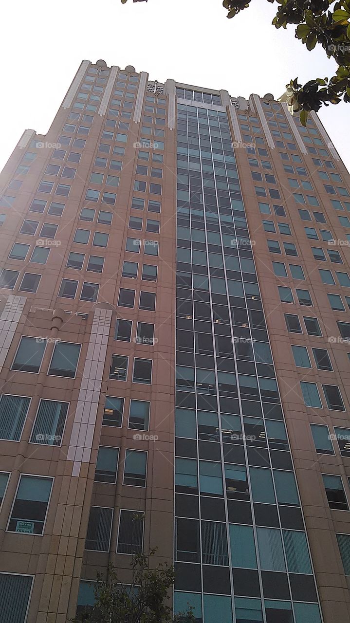 Blue windows. Out running some errands and I looked up and I kept looking