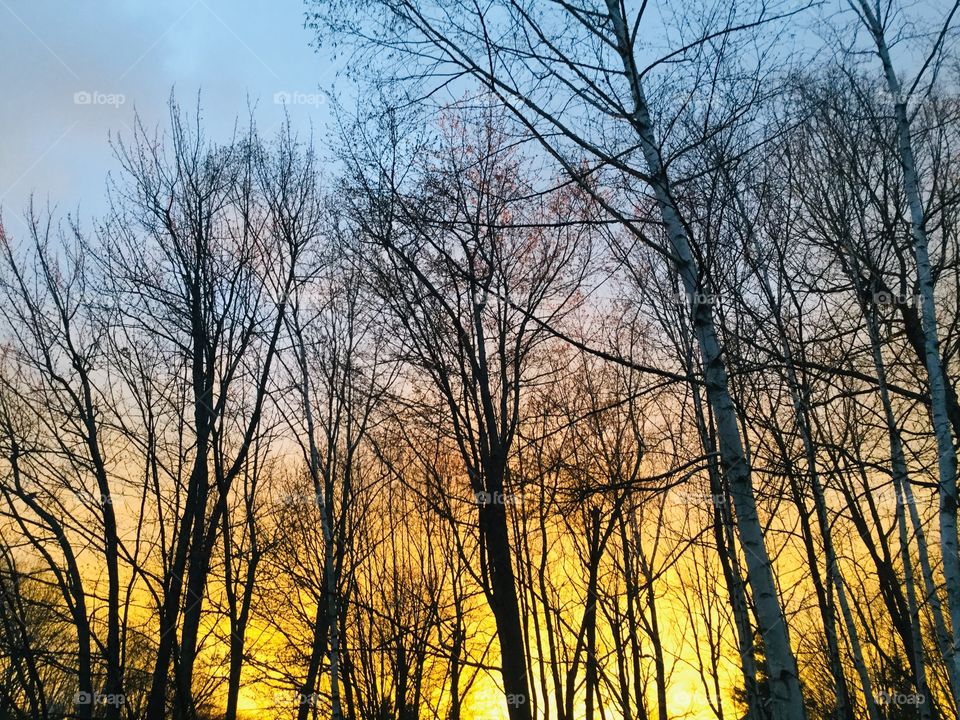 No editing clear orange sky 