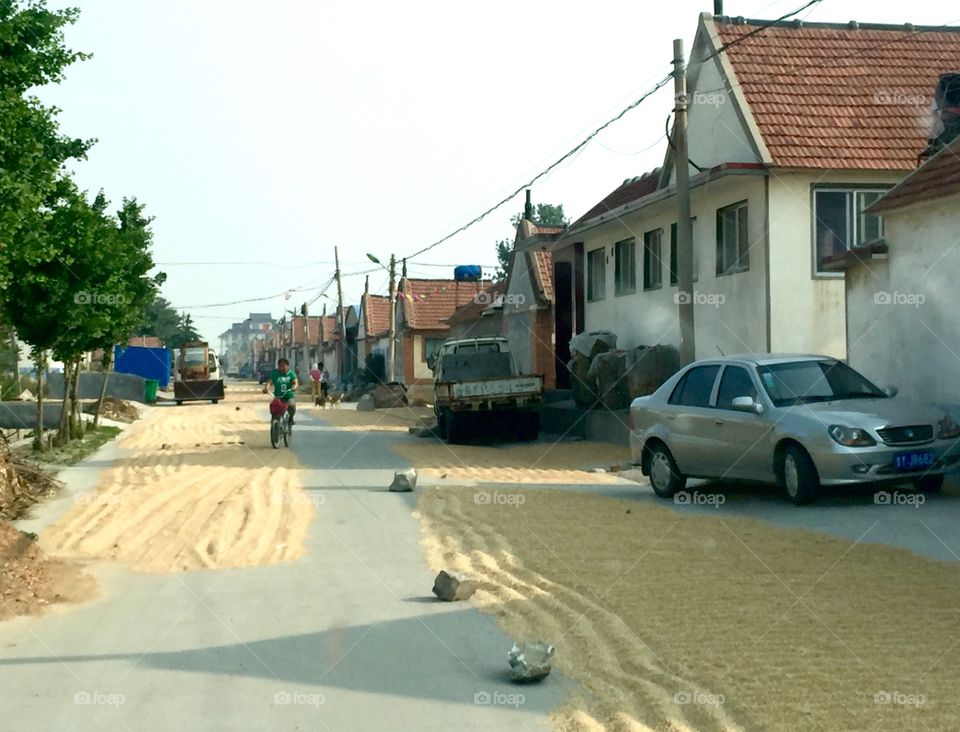 Wheats drying on the street
Life in rural countryside in northern China 