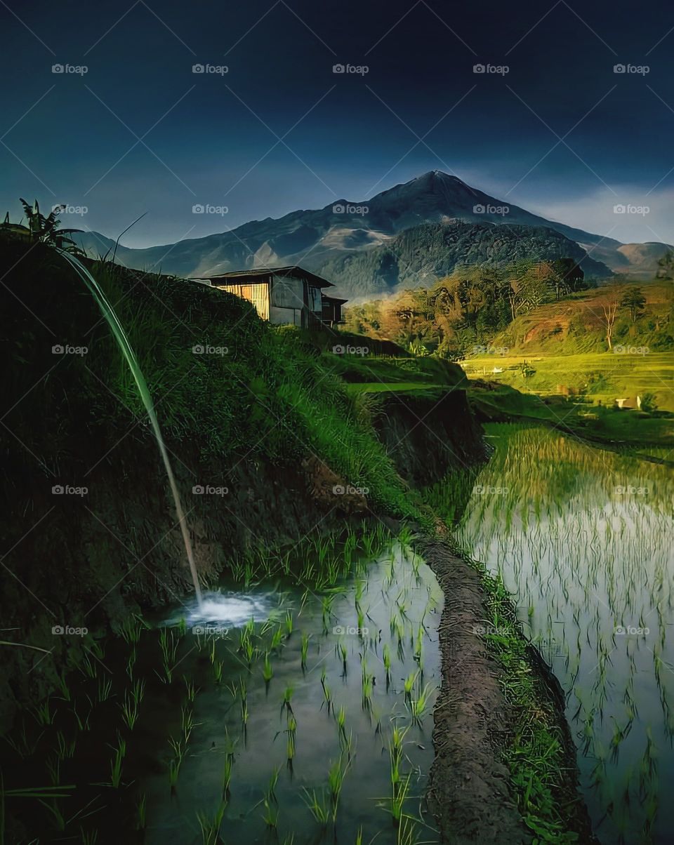 water is the source of life