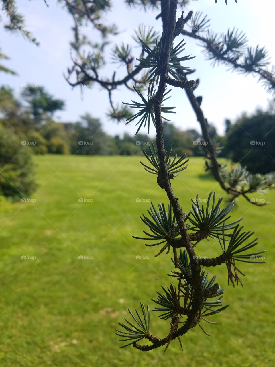 Planting Fields Arboretum State Park, Oyster Bay, NY - August 2017 - Taken on Android Phone - Galaxy S7 - Exploring the Grounds on a Lazy Sunday near the end of Summer