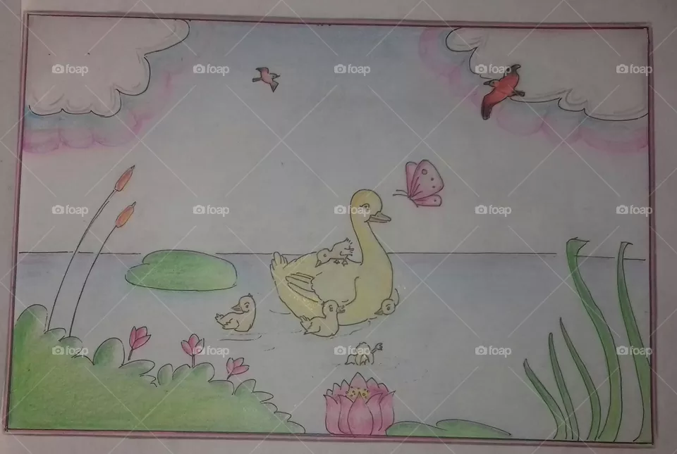my drawings
