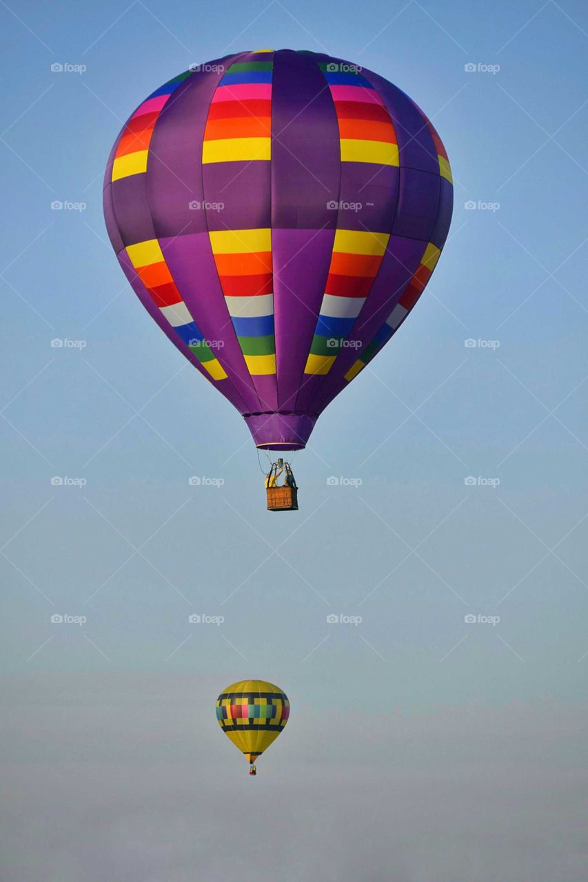 Hot air balloons in the sky