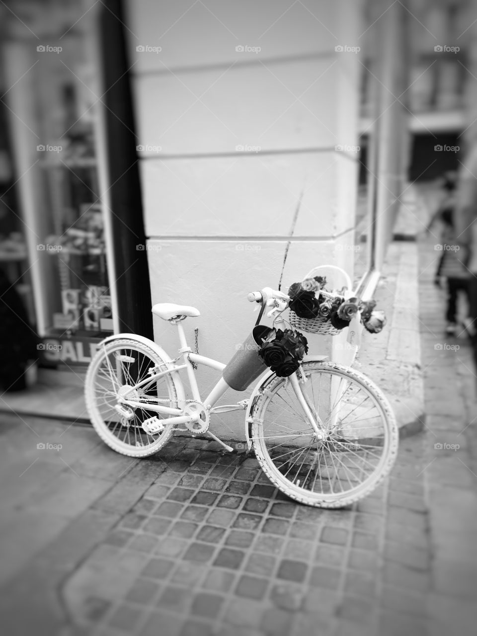 #bicycle #outdoors #flowers