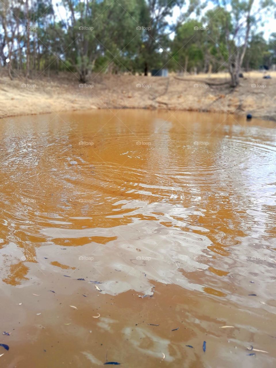an orange flare pond of a dam