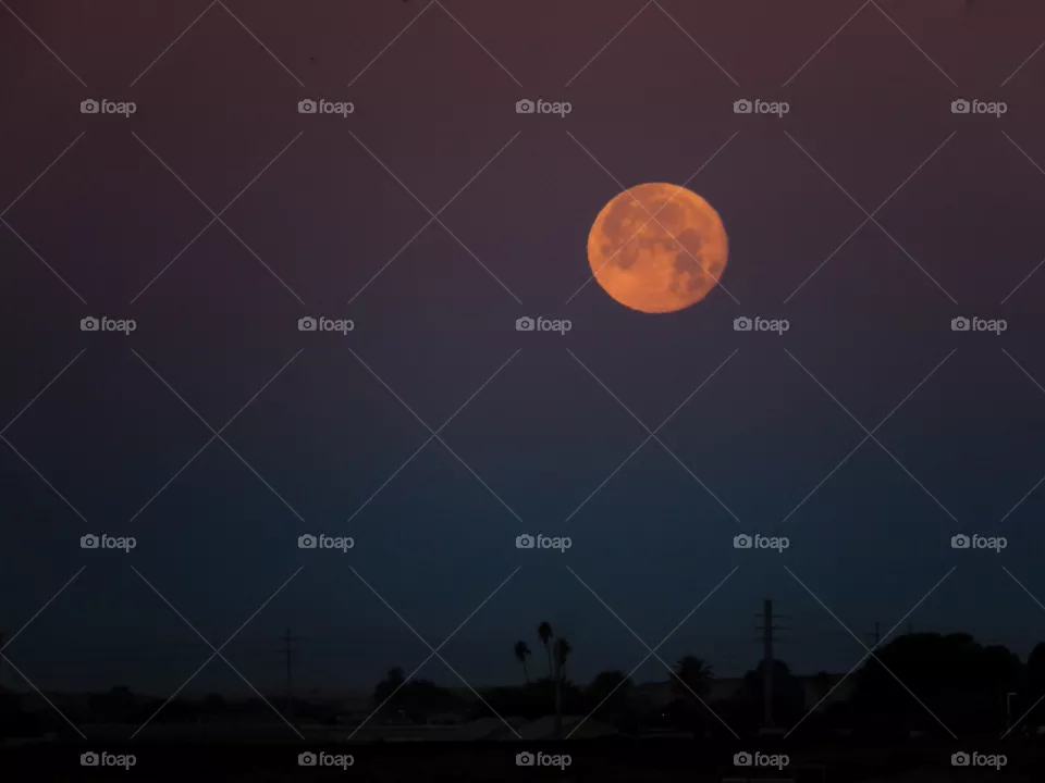 Desert moon
