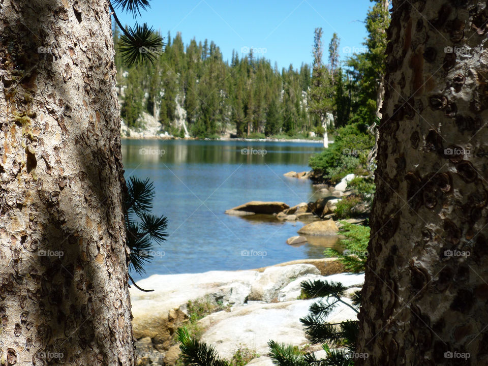 mountain trees lakes lake by kenglund