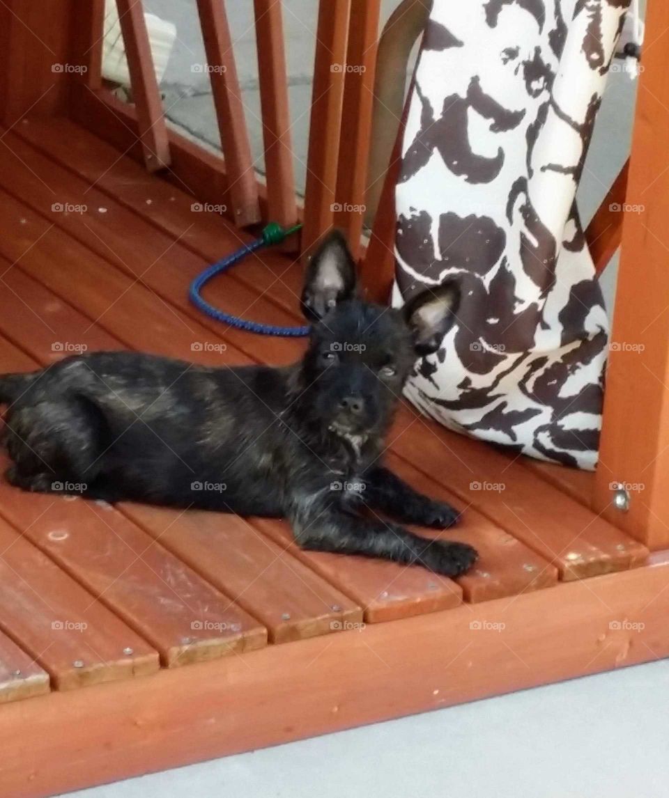 Relaxing on the patio