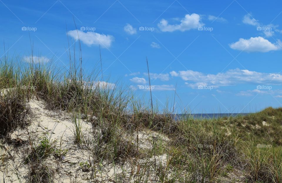 Sand dunes at the beach