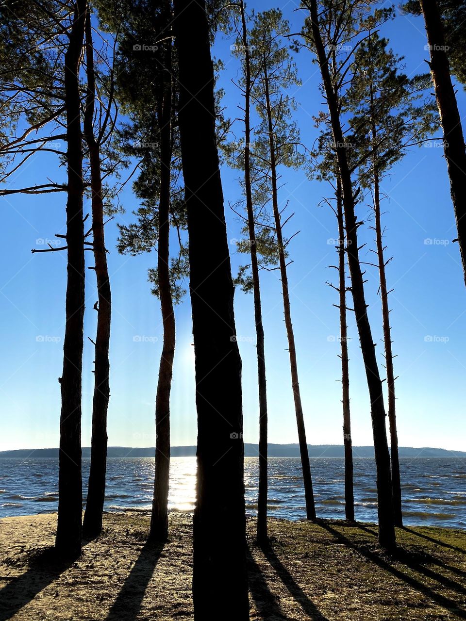 bright colors in minimalism