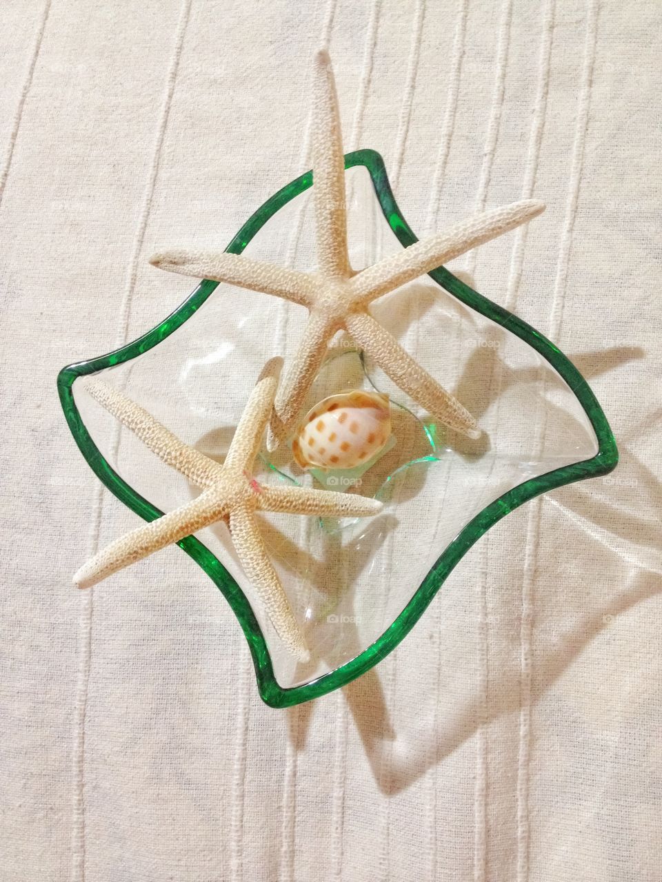 Glass container with starfishes and a shell