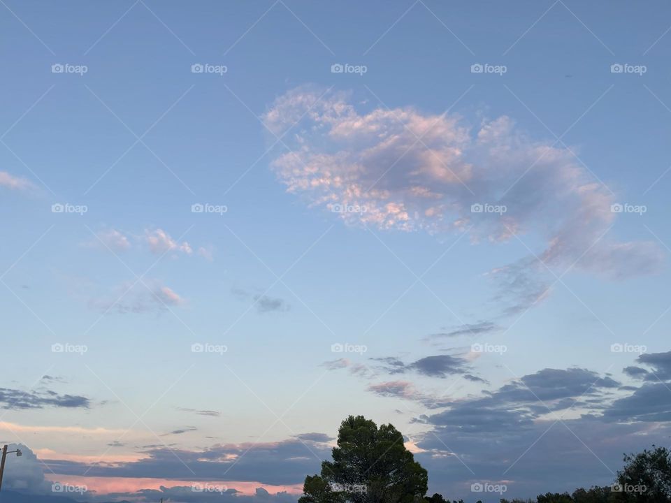 A pine tree with pink and dark grey clouds behind it. 