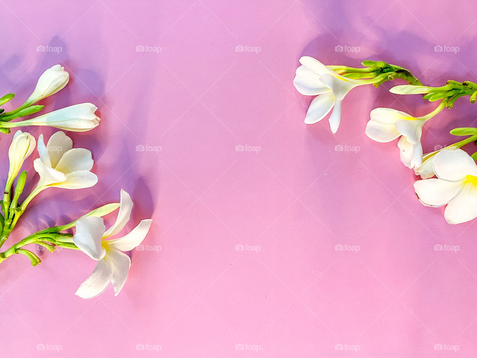 Your best flat lays. White flowers on a pink background. 
