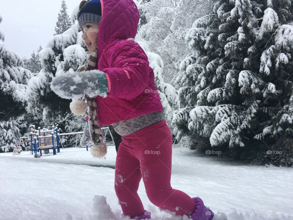 Winter, Snow, Cold, Frost, Christmas