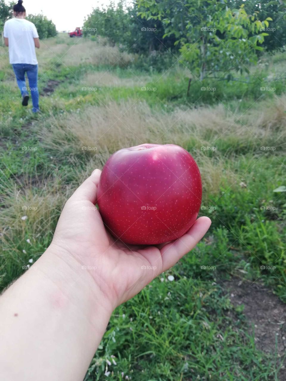 red apple