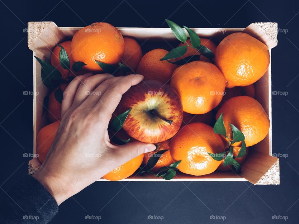 High angle view of hand picking fruit