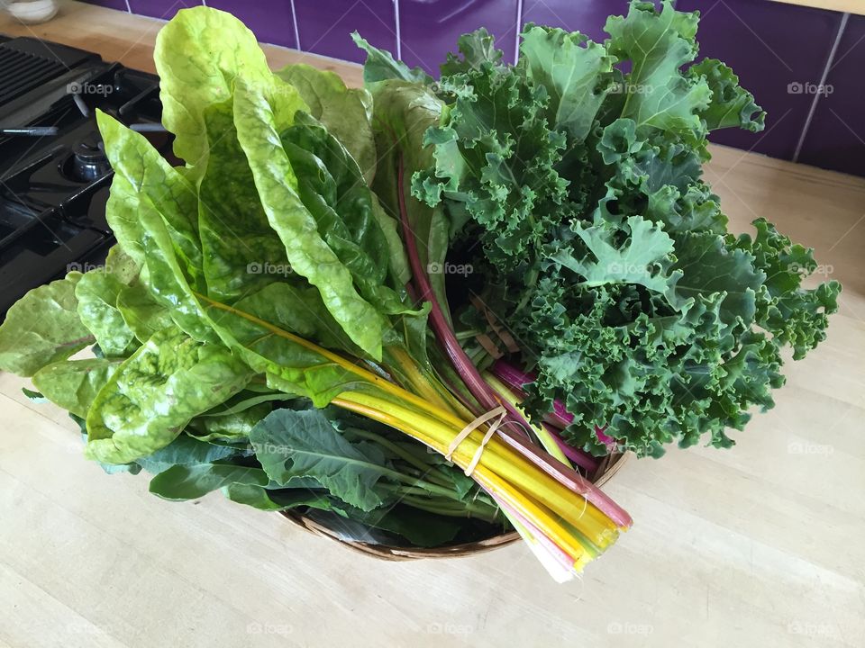Organic Swiss Chard and Kale