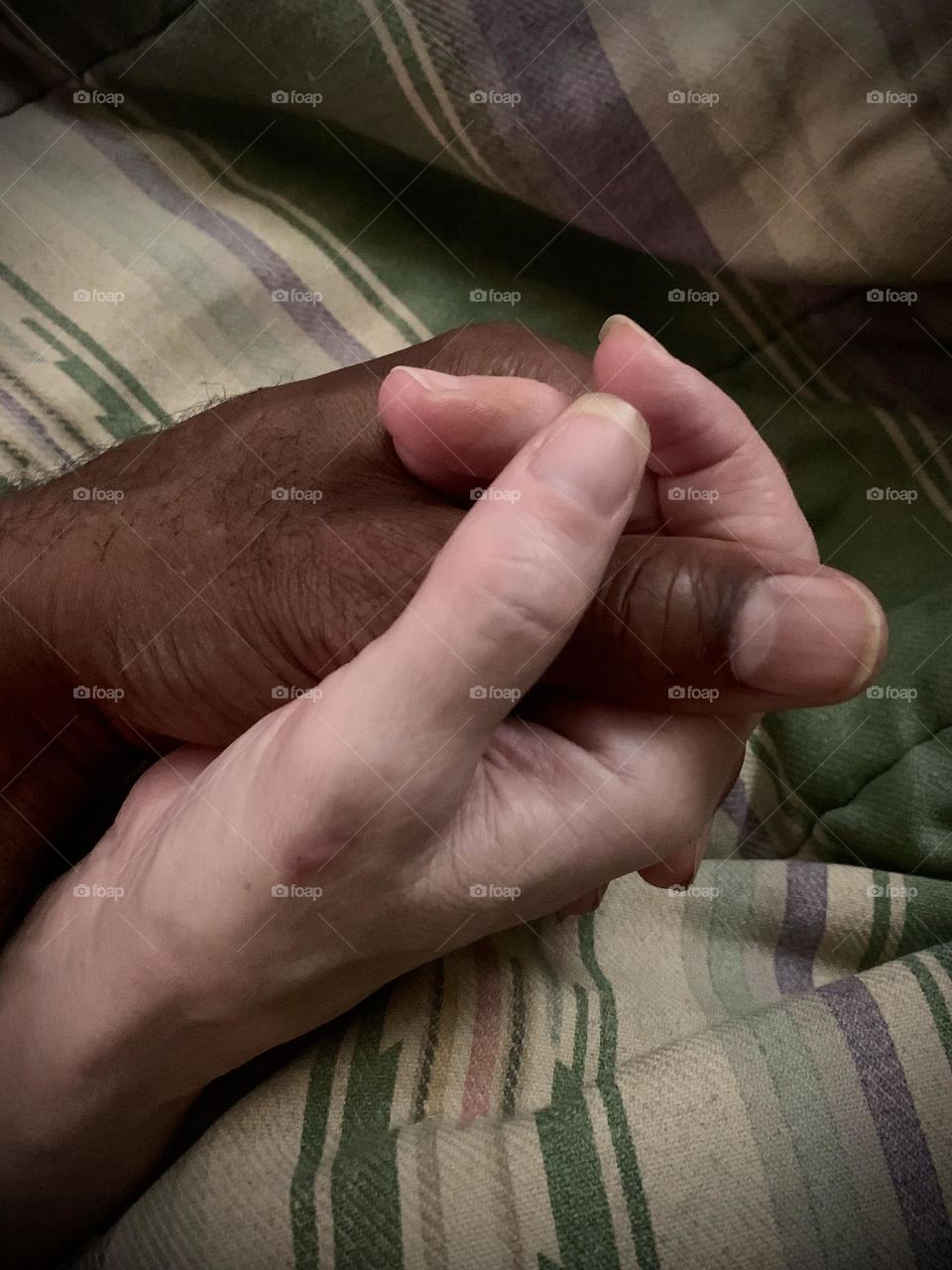 Humane Society Universal Touch with Love