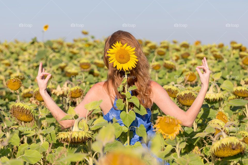 Young woman meditates in the field of sunflowers in summer