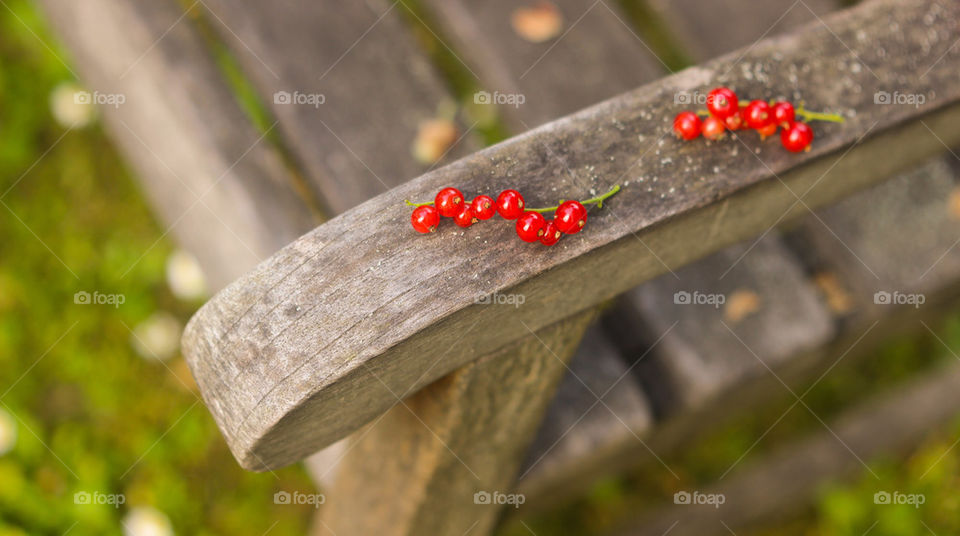 bench berries