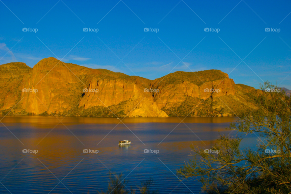 landscape plants nature travel by cmosphotos