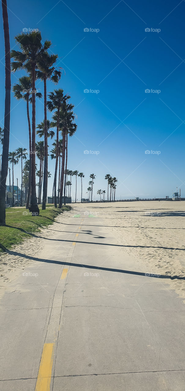 Venice Beach walkway morning