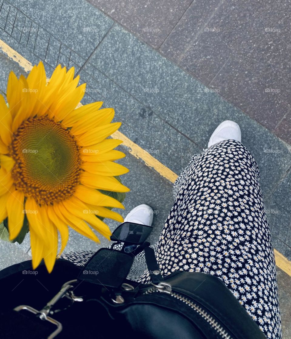 bright colors in minimalism