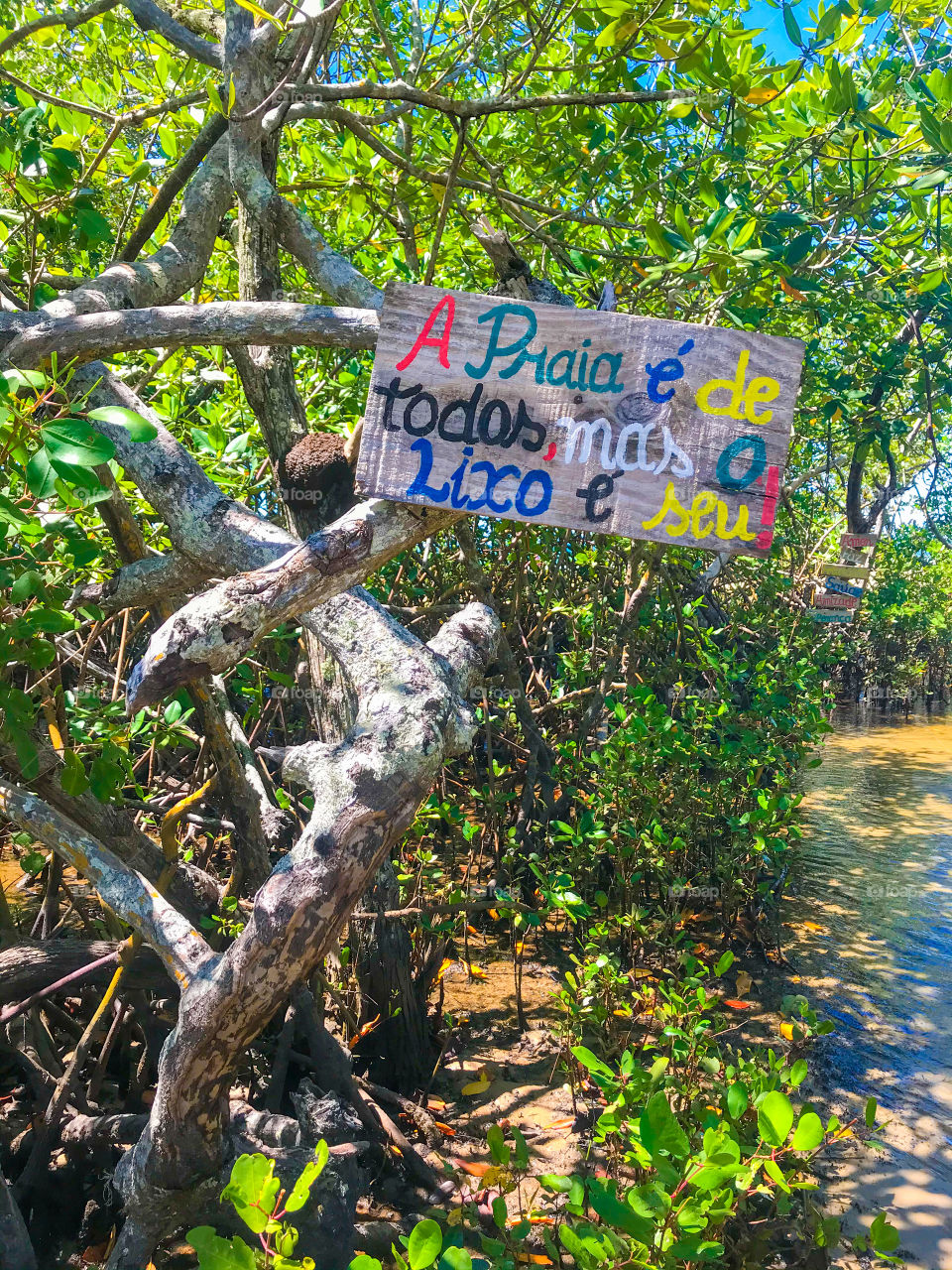 The beach belongs to everyone, but the garbage is yours!