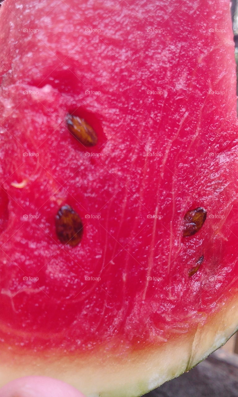 watermelon