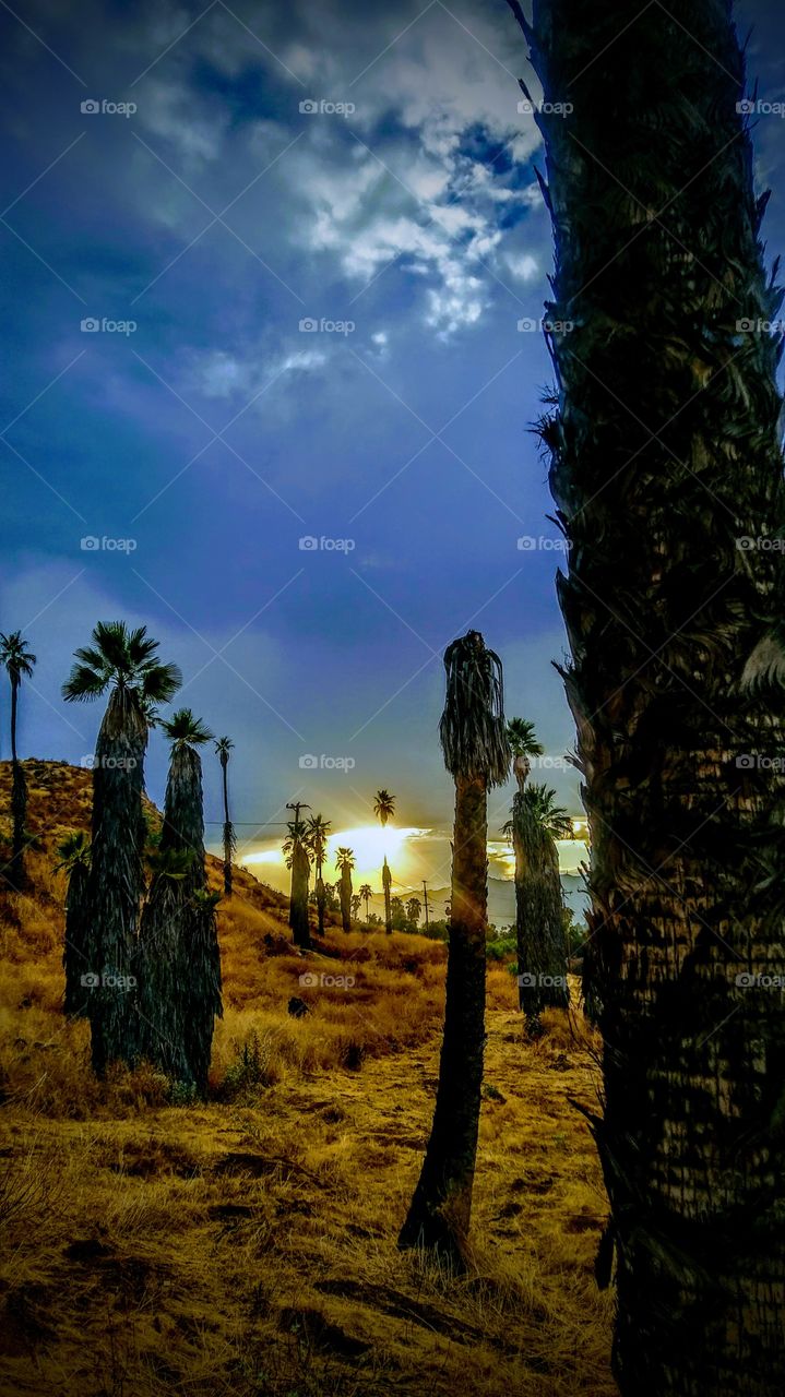 Sunrise in Riverside