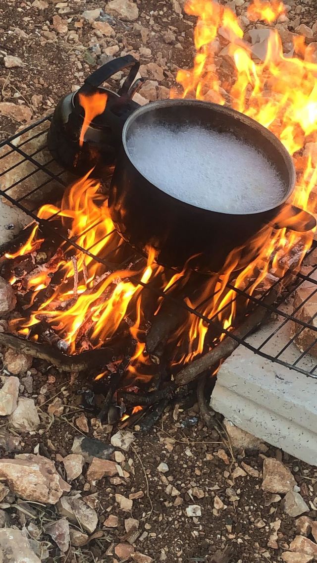 Food on firewood