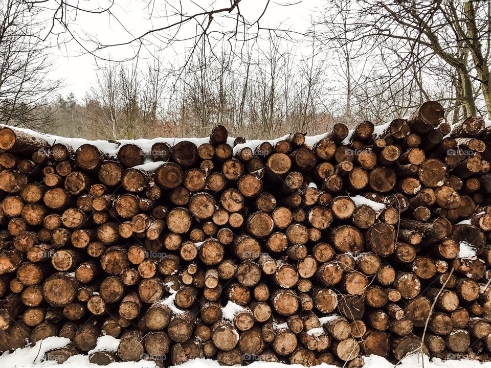 Tree Log, Firewood, Pile, Log, Woodpile