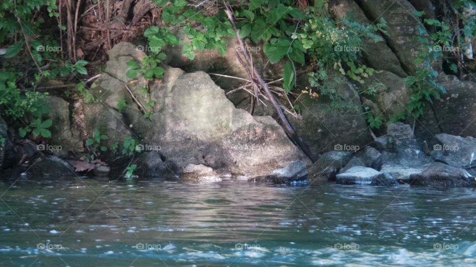 Light Reflecting on Rocks