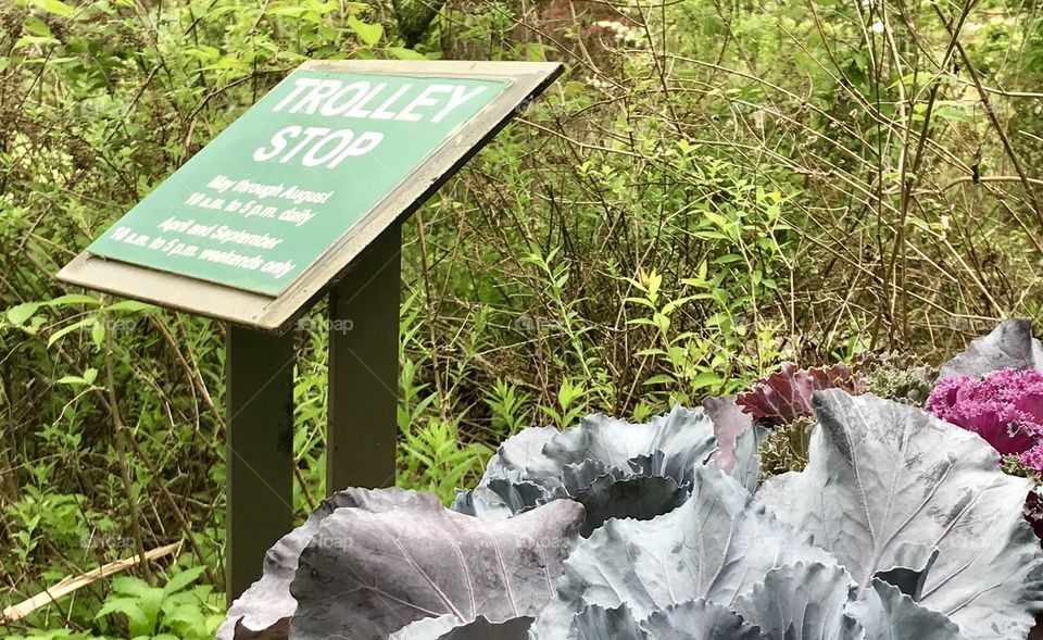 Powell Gardens - Trolly Stop