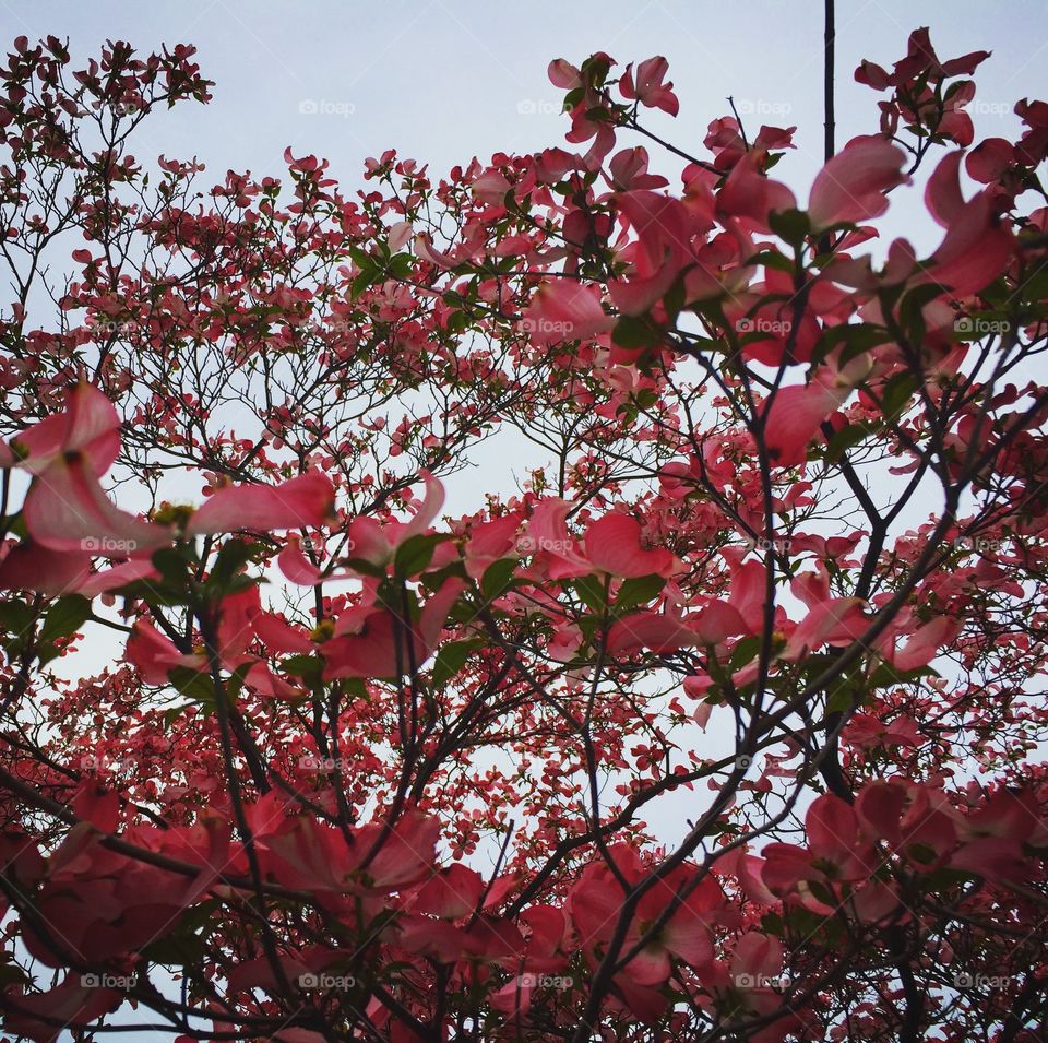 Wakefield, Massachusetts 