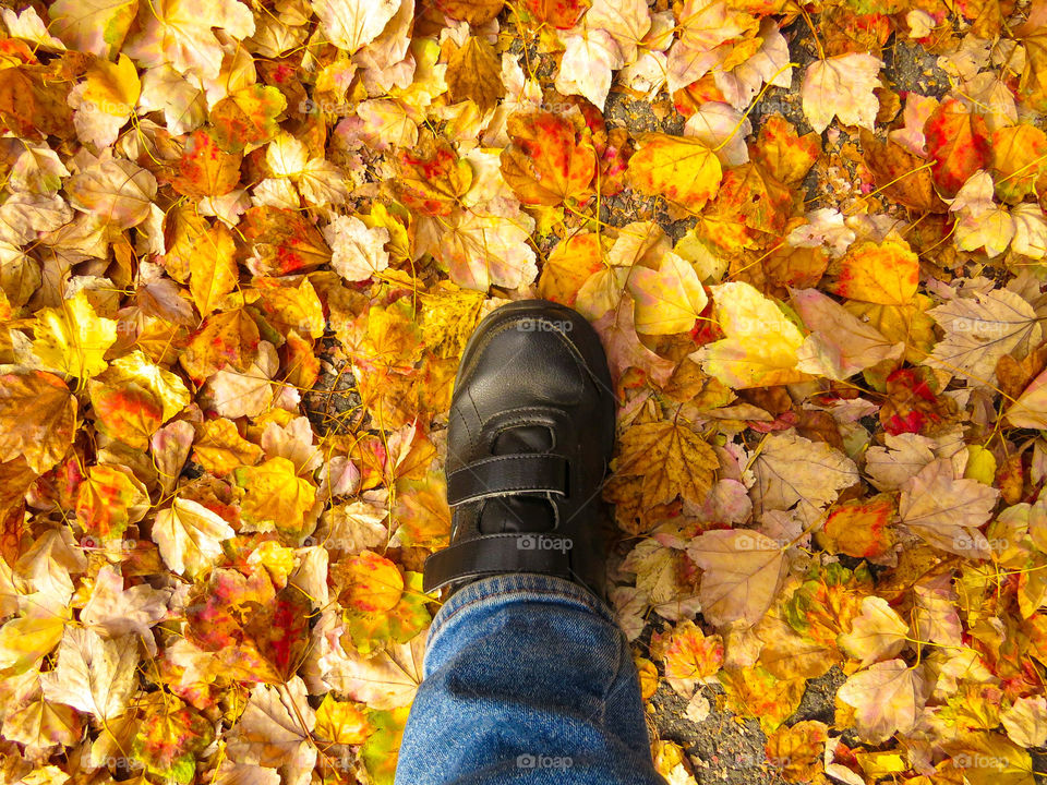 Stepping Into Autumn Leaves