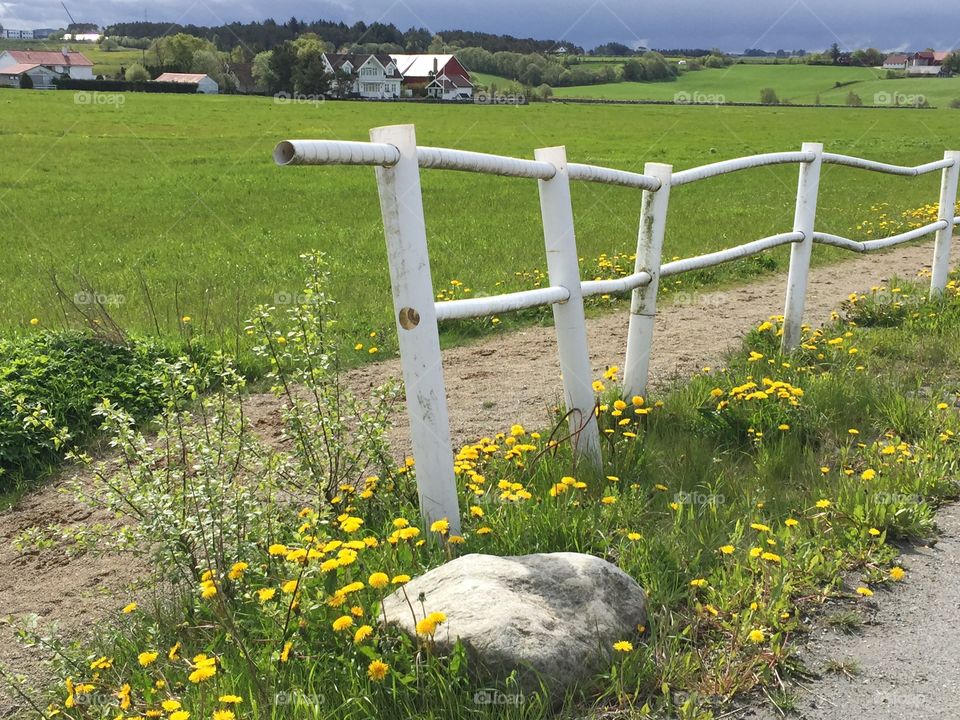 White fence. Fence around a field in the country. 