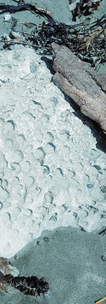 A well washed rock nestled in the sand next to drift wood,stones and a bit of seaweed.