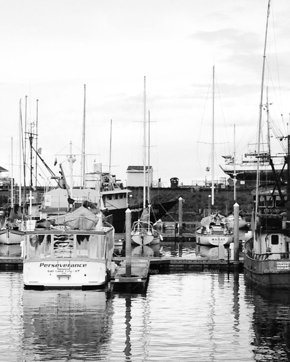 Boats in the local marina 