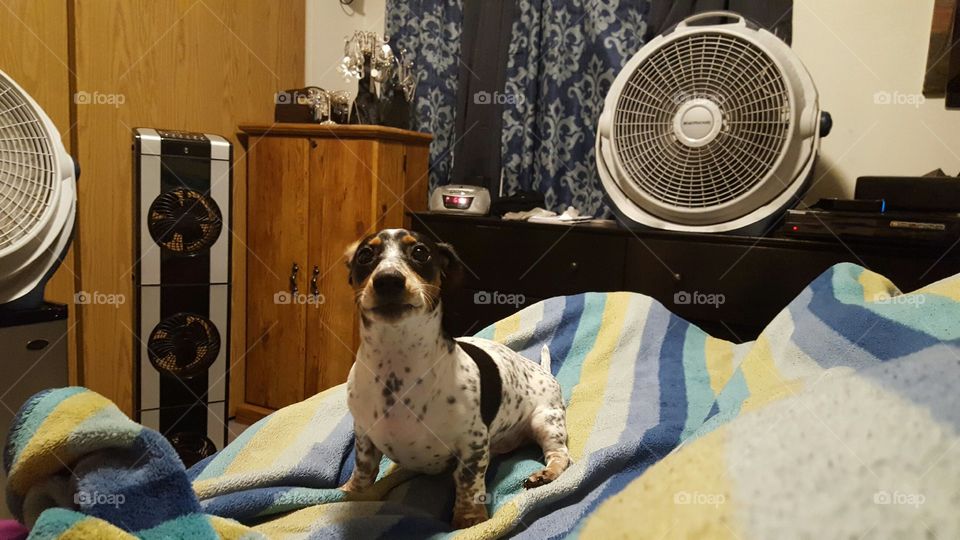 please mom can i have some ?