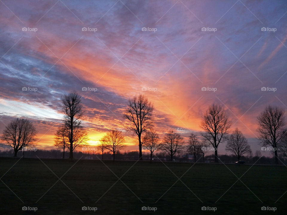 sunset tree shadow in summer at munich germany