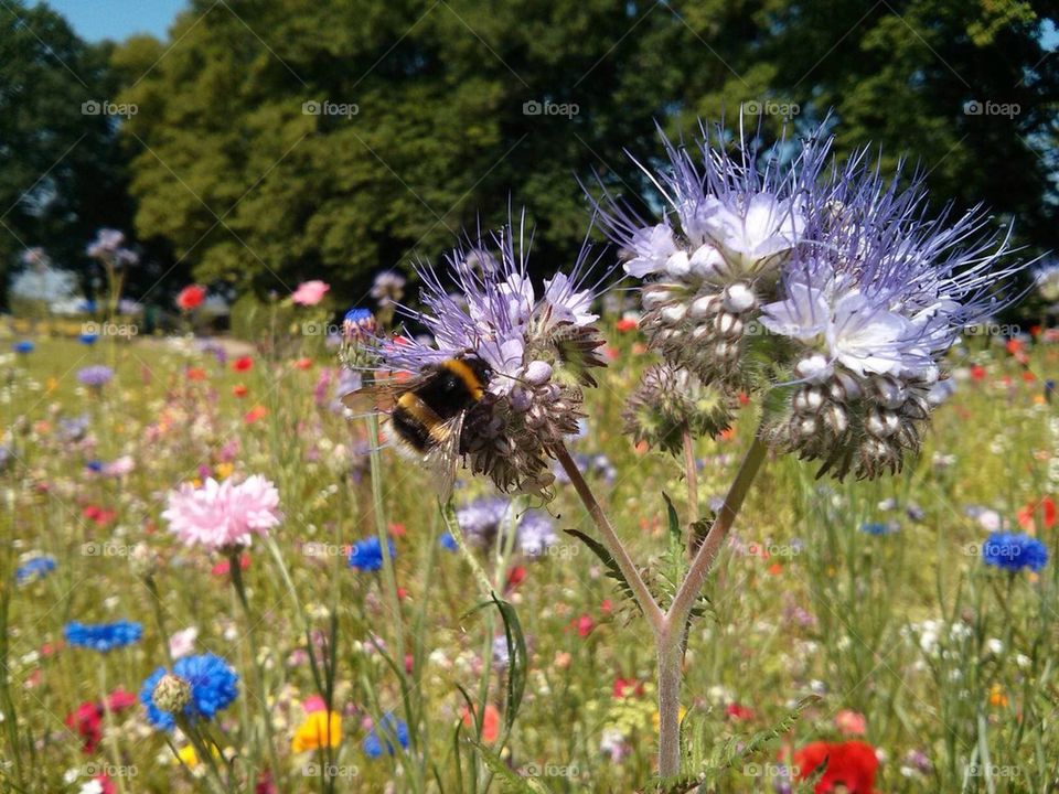 Bzzzzzzzzzzzzzzbzzzzzzzzzzzzzbzzzzzzzzzxbzzzzzzz