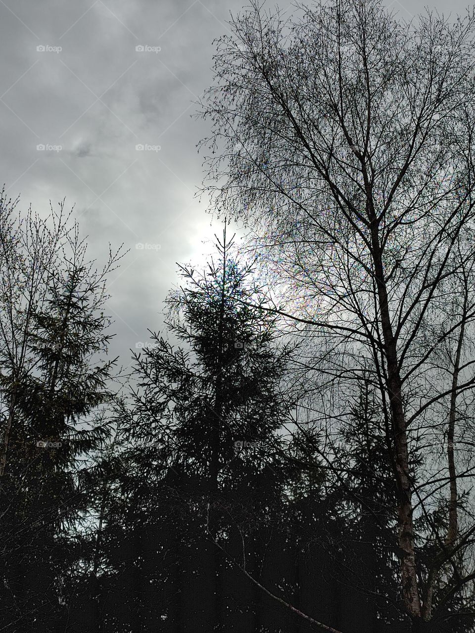 Walk in the woods, Bayehon waterfall