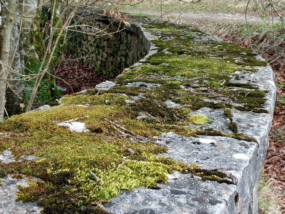 muro piedra bosque hojas secas camino Navarra